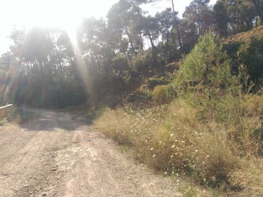 Terreni e lotti in vendita a Corbera de Llobregat