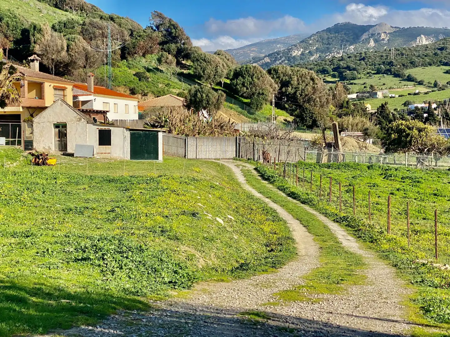 Country house for sale in Puerto El Bujeo, imagen 9