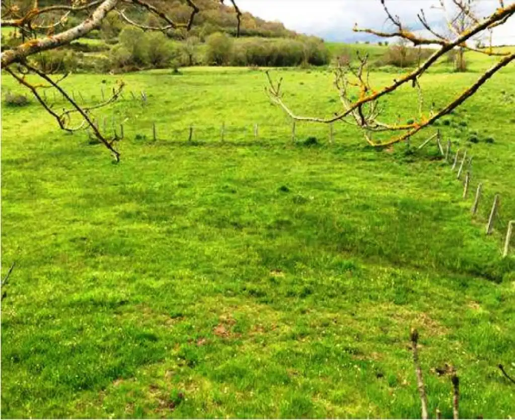 Grundstücke zum Verkauf in Hermandad de Campoo de Suso