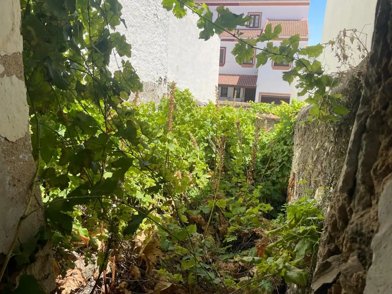Maison à vendre à Cantarranas, imagen 10