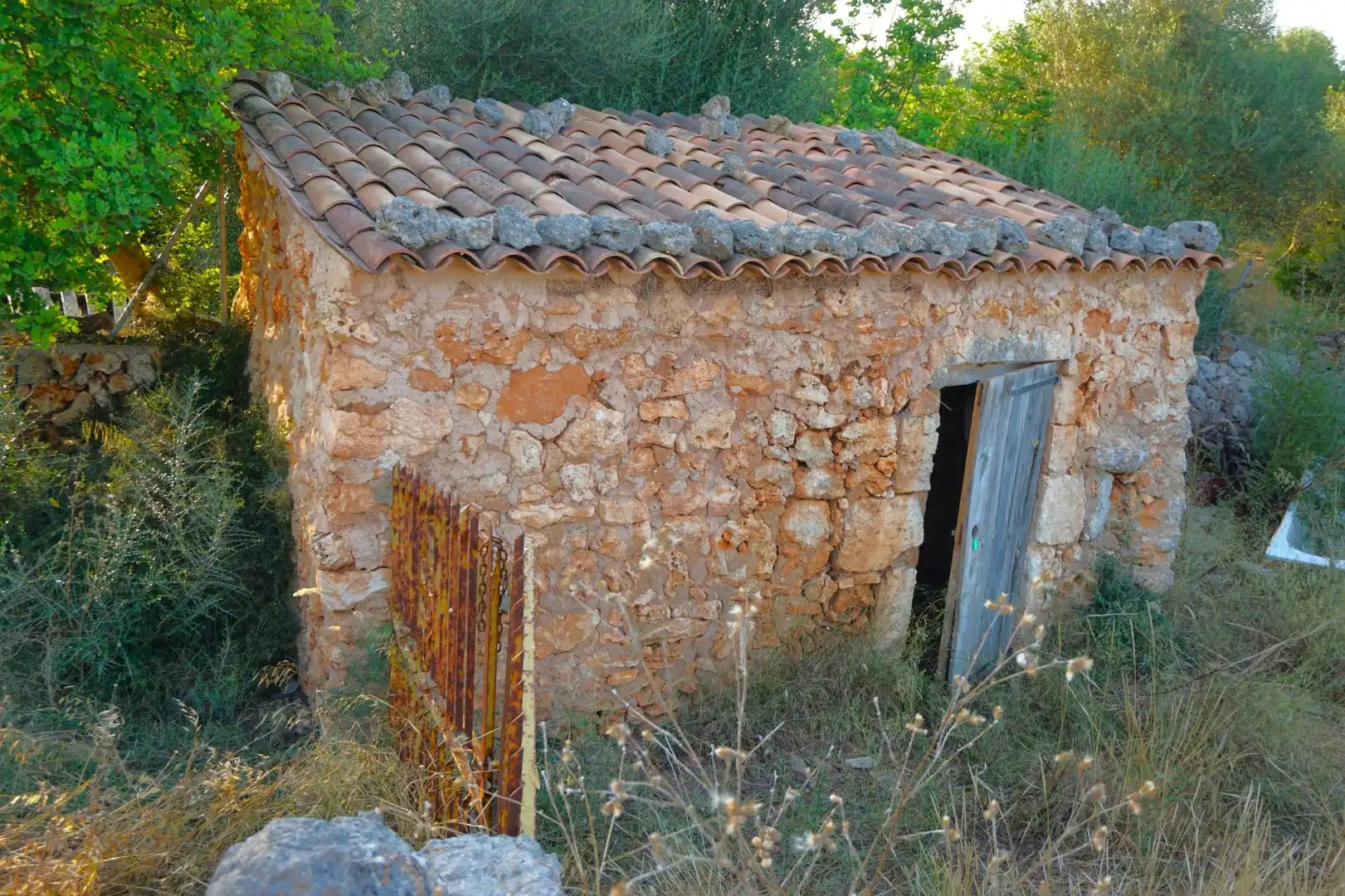 Terreno rustico in vendita a Santa Margalida Poble, imagen 12