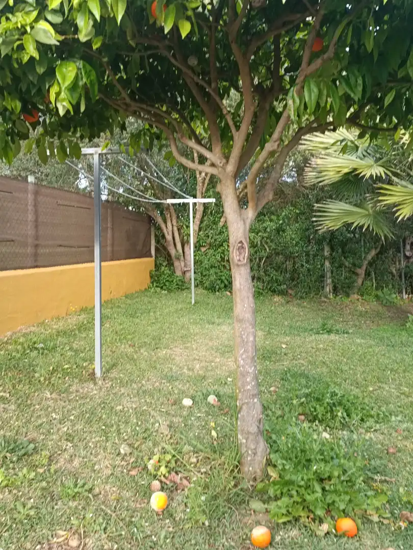 Casa rústica con jardín en venta en Zahora, imagen 36