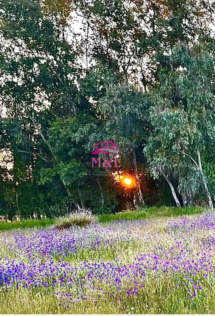 Terreni e lotti in vendita a Oeste, imagen 8