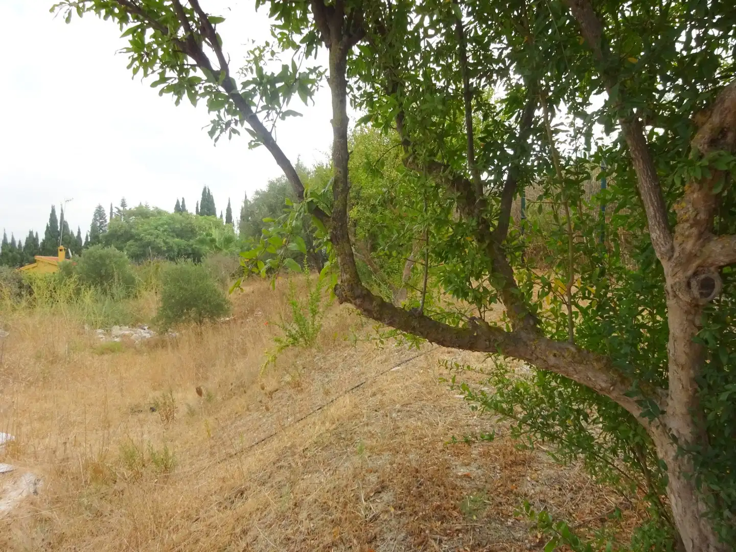 Casa o xalet en venda en Alhaurín de la Torre amb Aire condicionat, Jardí privat i Terrassa