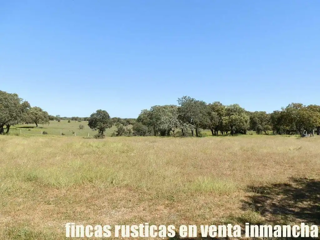 Terreno rustico in vendita a Ciudad Rodrigo, imagen 11