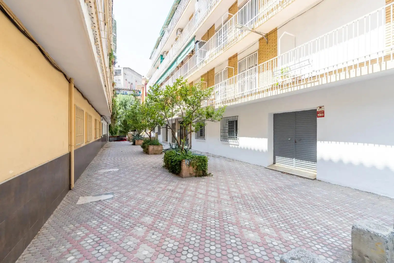 Exterior view of Flat for rent in Centro