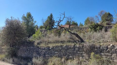 fINCA CON CASITA EN COSNTRUCCIÓN Y BUENAS VISTAS, immagine 2
