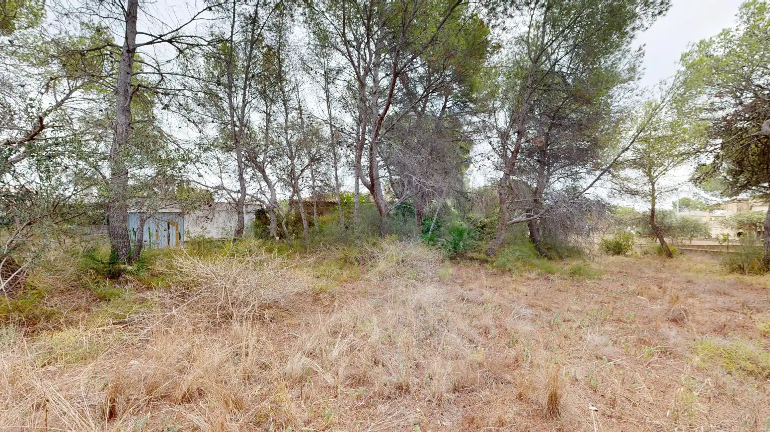 Casa amb piscina en venda a Bétera - CL CHELVA, imagen 47