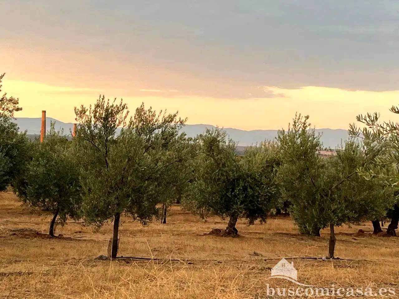 Terreni e lotti in vendita a De Baños, imagen 6