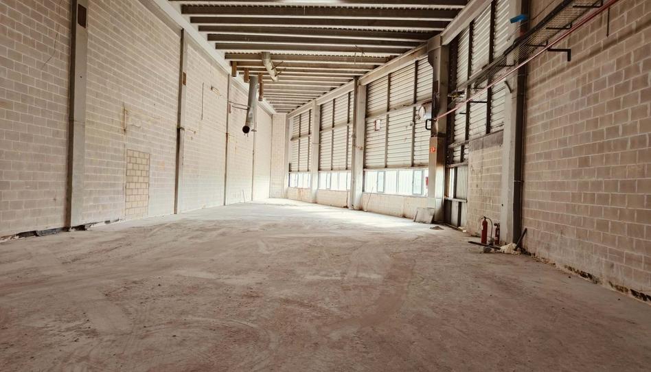 Photo 1 of Industrial buildings to rent in Industrial Ballonti, Repelega, Bizkaia