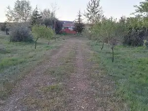 Terreno en venta en Piedrabuena
