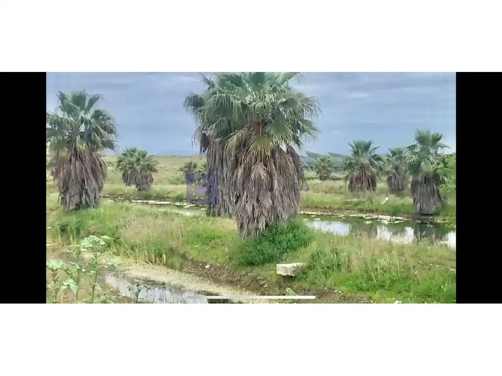 House for sale in Aguas Vivas - La Zambomba, imagen 2