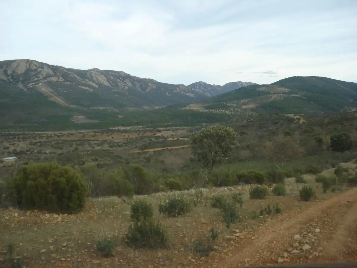 Finca rústica en venta en Villar del Pozo