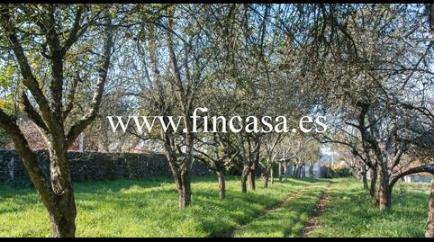 Foto 4 de Finca rústica en venta en Monterroso, Lugo