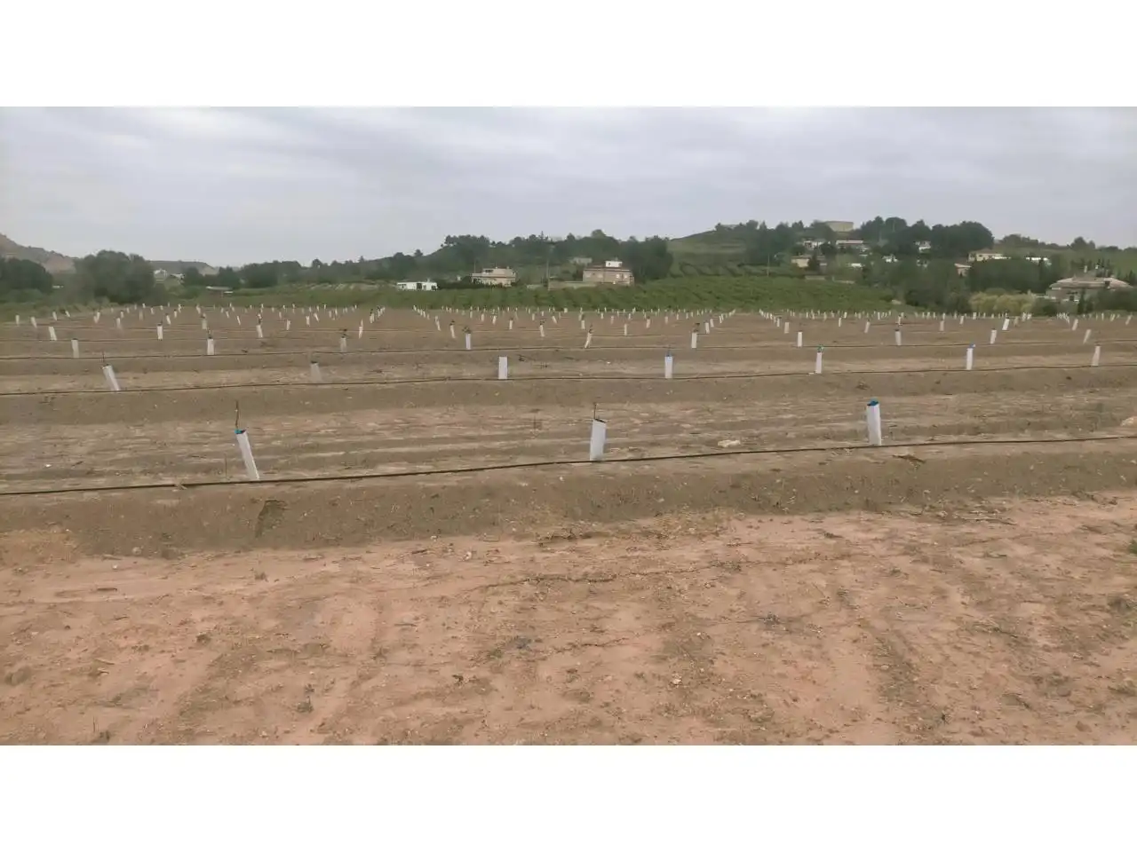 Terreno rustico in vendita a Calle XARCOS SECS, imagen 9