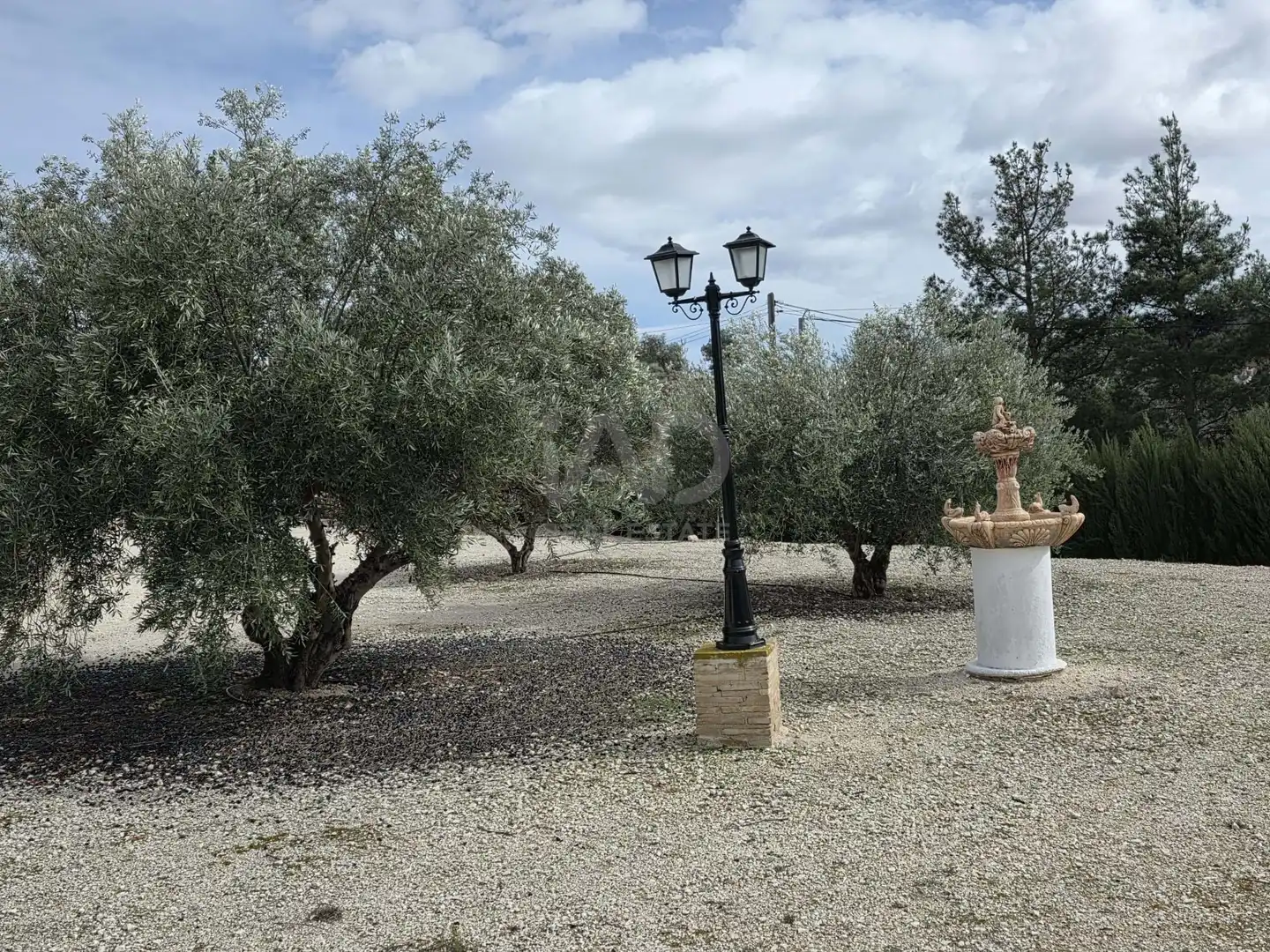 Finca rústica en venda a Calasparra