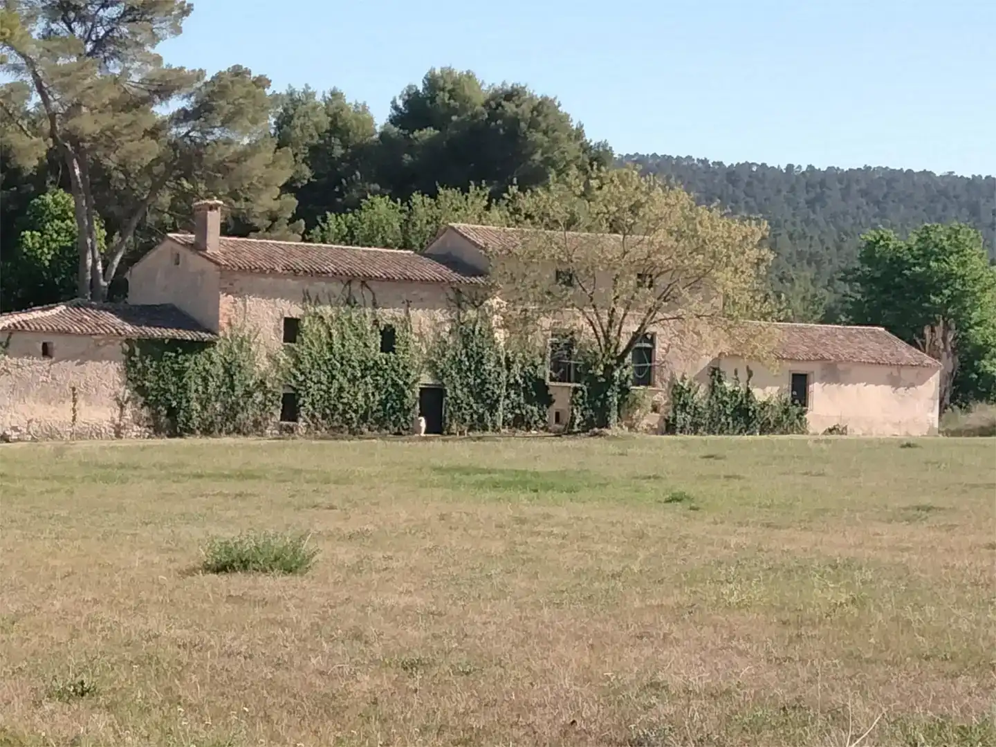 Vista exterior de Finca rústica en venda en Alcoy / Alcoi amb Piscina i Balcó