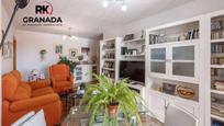 Living room of Flat for sale in  Granada Capital  with Terrace