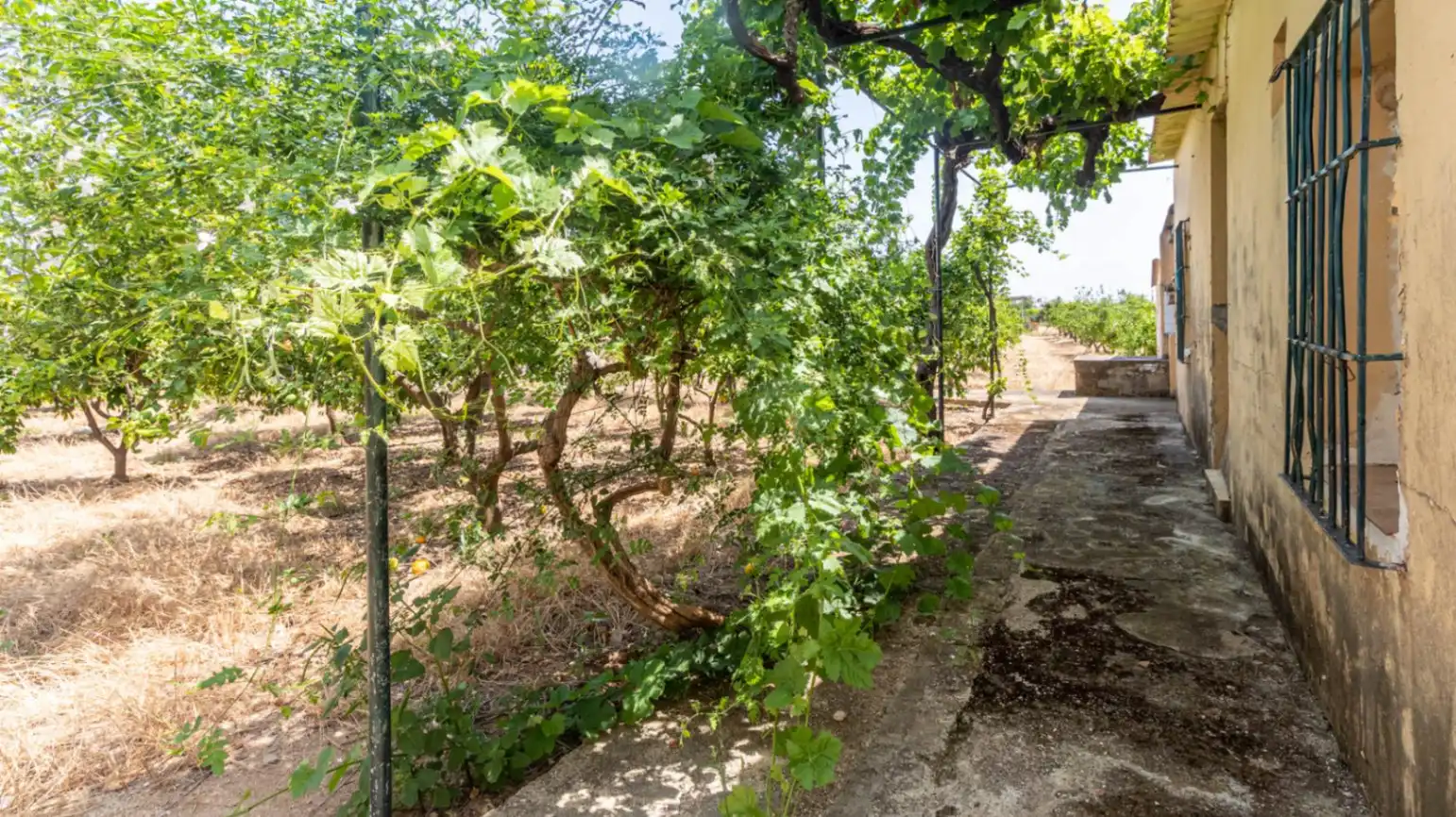 Jardí de Finca rústica en venda en Beniarbeig amb Jardí privat, Terrassa i Traster