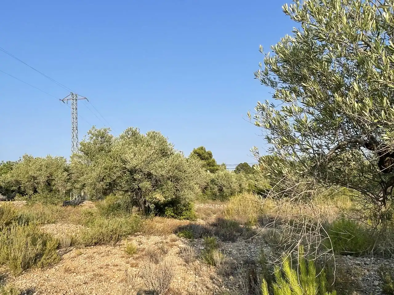 Terreno rustico in vendita a Partida Estany Tort, imagen 8