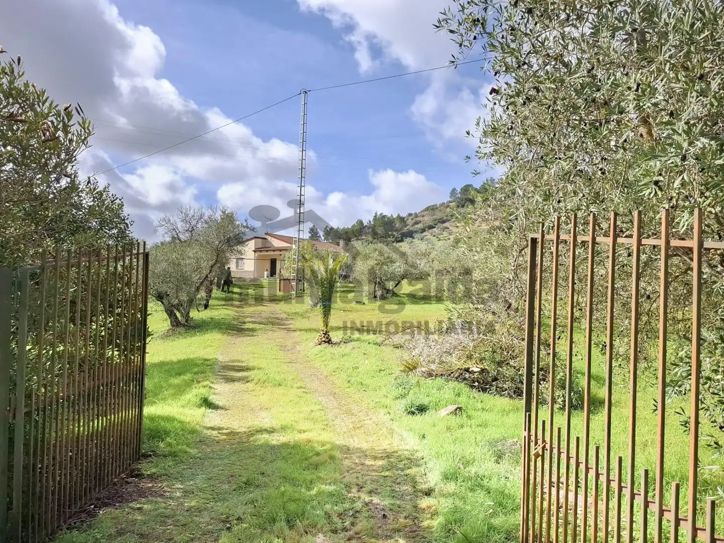 Detached house with pool for sale in Algodonales, imagen 3