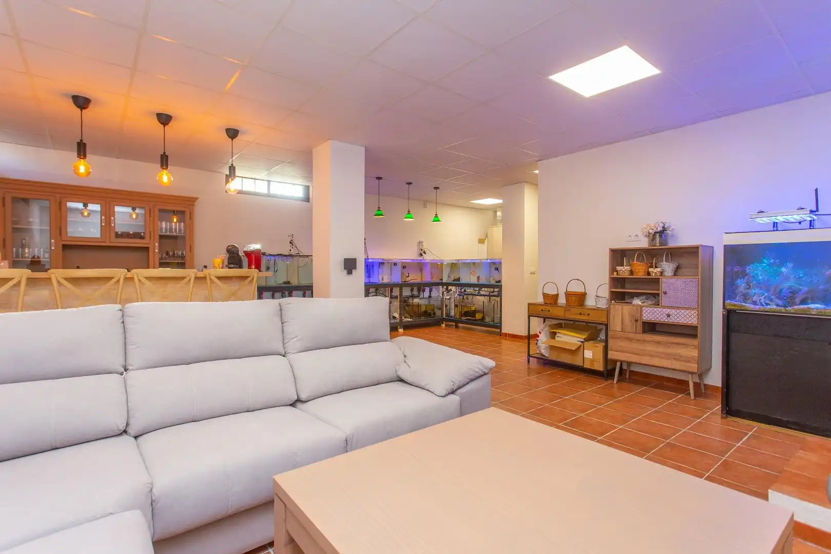 Chalet con piscina en venta en Caballero Bonald - San José Obrero - Guadalcacín, imagen 57