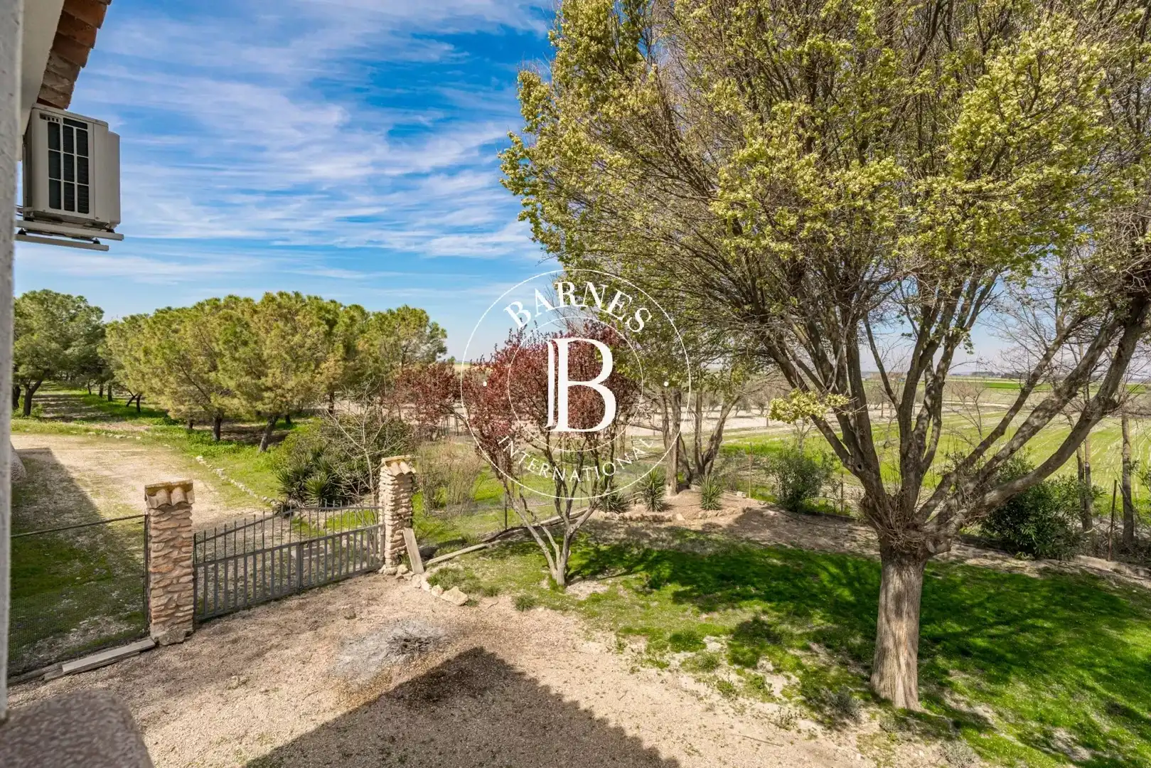 Jardín de Casa o chalet en venta en Alcázar de San Juan con Jardín privado, Piscina y Amueblado
