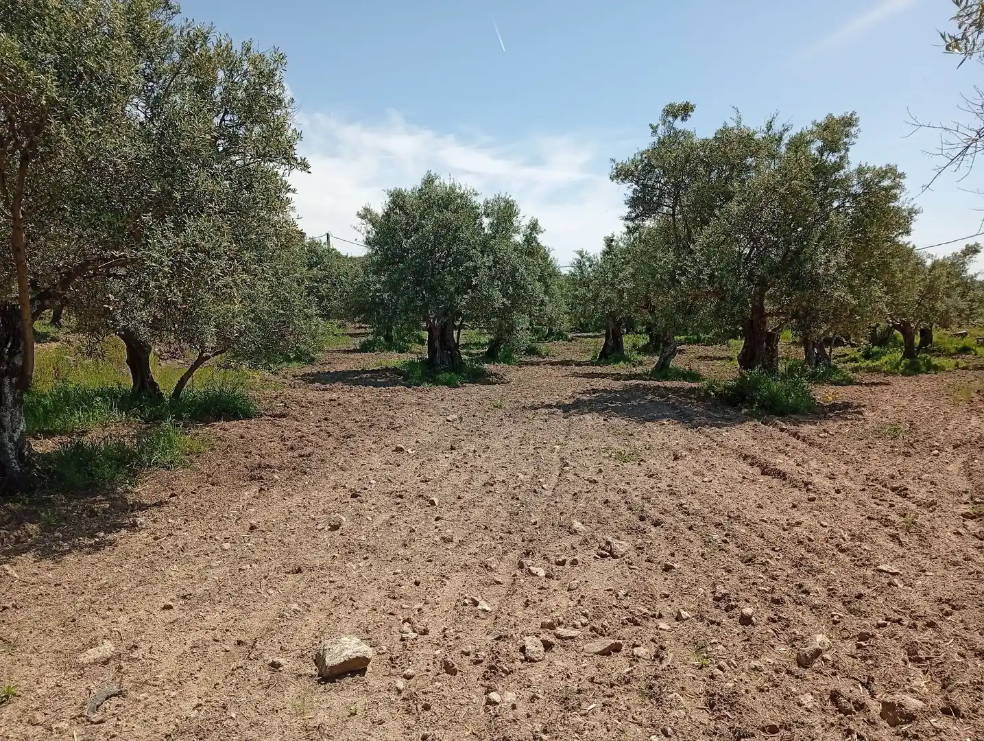 Terreni e lotti in vendita a Villanueva de la Vera, imagen 9