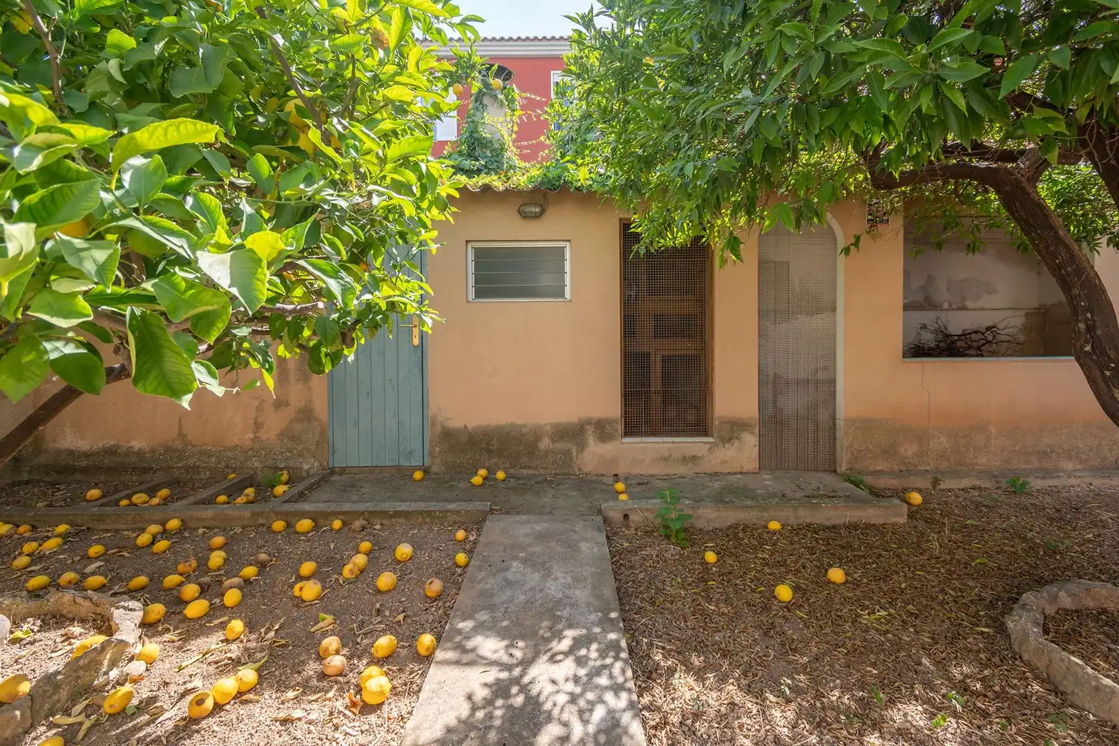 Vista exterior de Pis en venda en  Palma de Mallorca amb Aire condicionat, Jardí privat i Terrassa