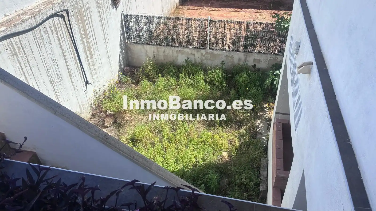 Exterior view of Houses for sale in Montserrat  with Private garden and Terrace