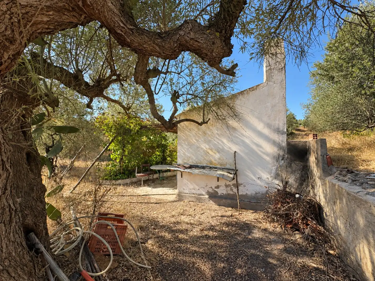 Terrain rustique à vendre à Riba-roja d'Ebre, imagen 11