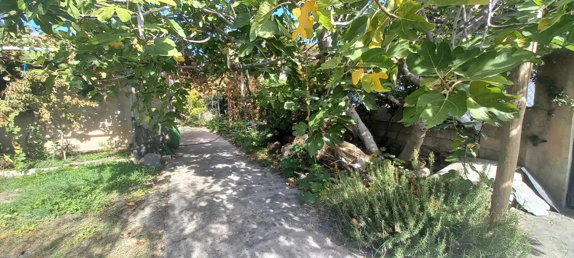 Casa rústica amb terrassa en venda a Cádiar, imagen 39