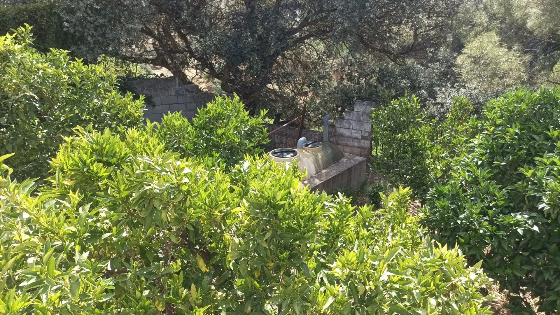 Garden of Country homes for sale in Ronda  with Heating, Private garden and Terrace