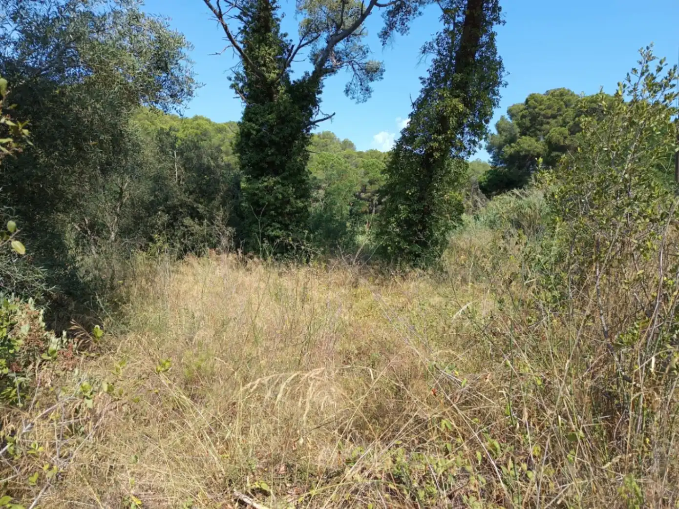 Residencial en venda en Palafrugell