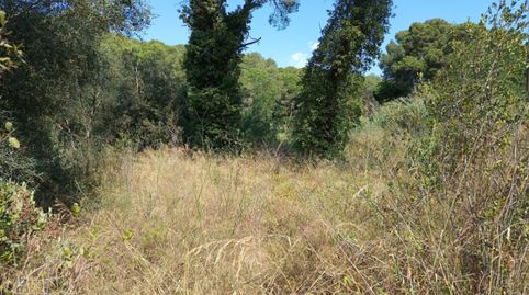 Foto 2 de Residencial en venda a Tamariu, Palafrugell
