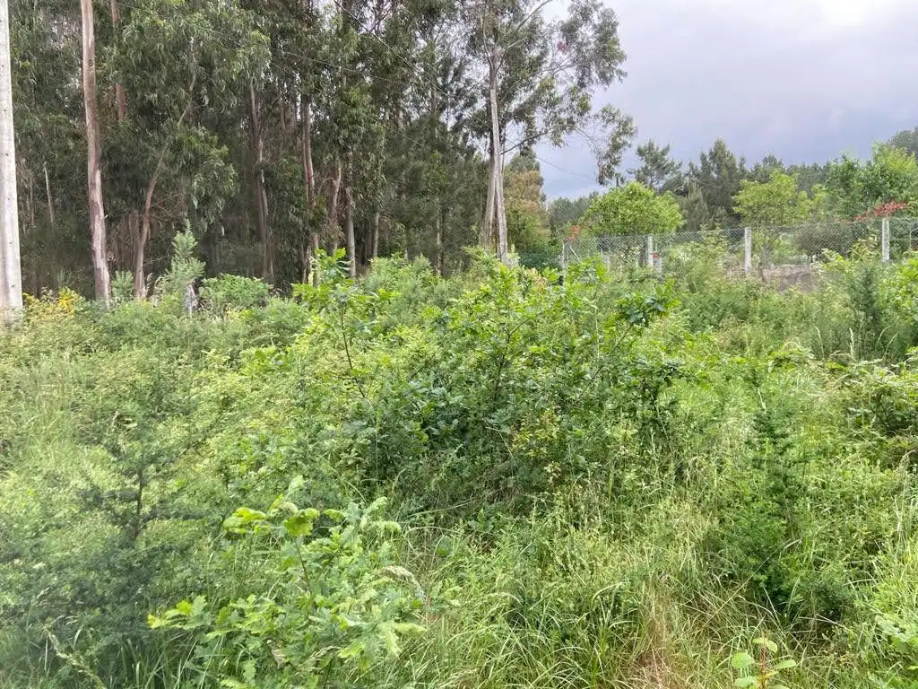 Rural land for sale in Parroquias Rurales, imagen 7