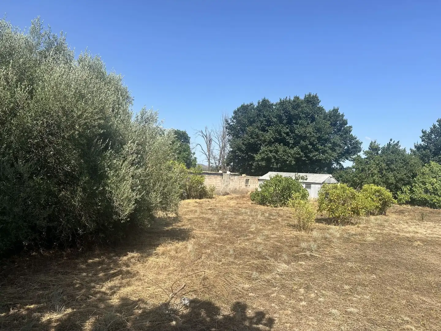 Terreno residencial en venta en Algímia de Alfara, imagen 3