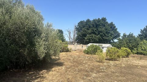 Parc.Urbana en venta en Algimia De Alfara., immagine 3