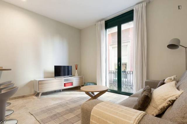Apartamento en Alquiler en Barri Gòtic