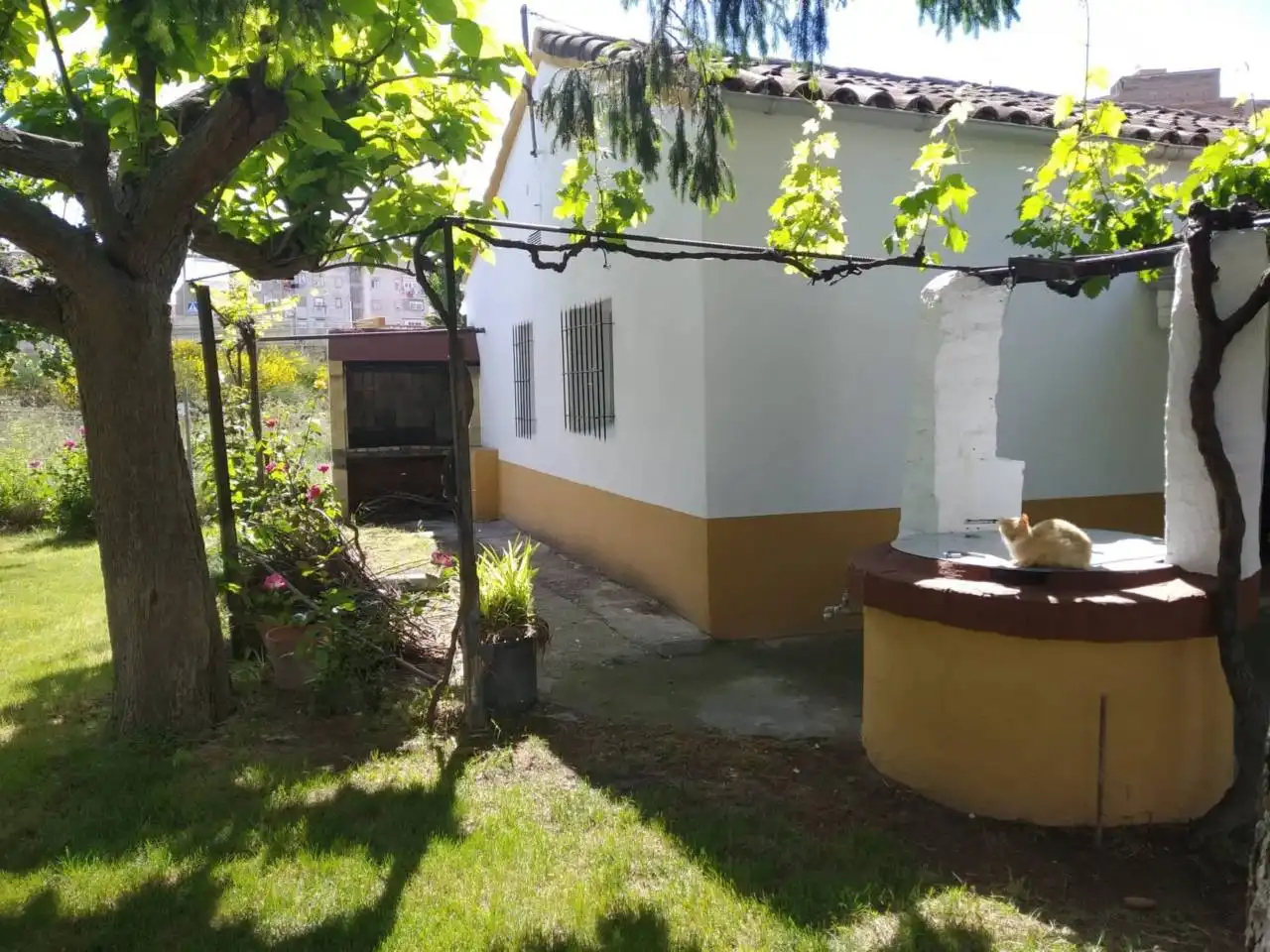 Jardín de Casa o chalet en venta en Monzón con Jardín privado, Terraza y Amueblado