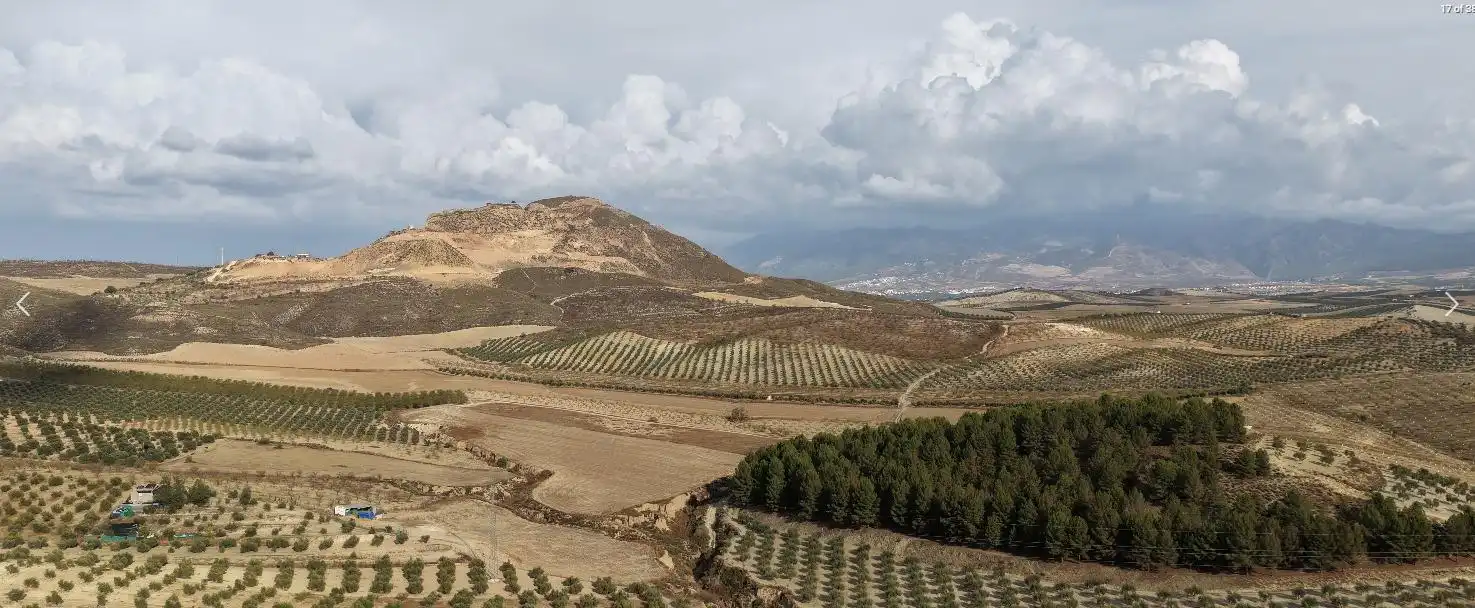 Vista exterior de Finca rústica en venta en La Malahá