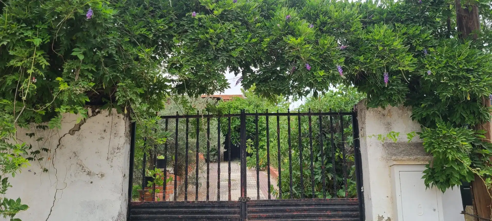 Jardí de Casa o xalet en venda en Villaviciosa de Odón