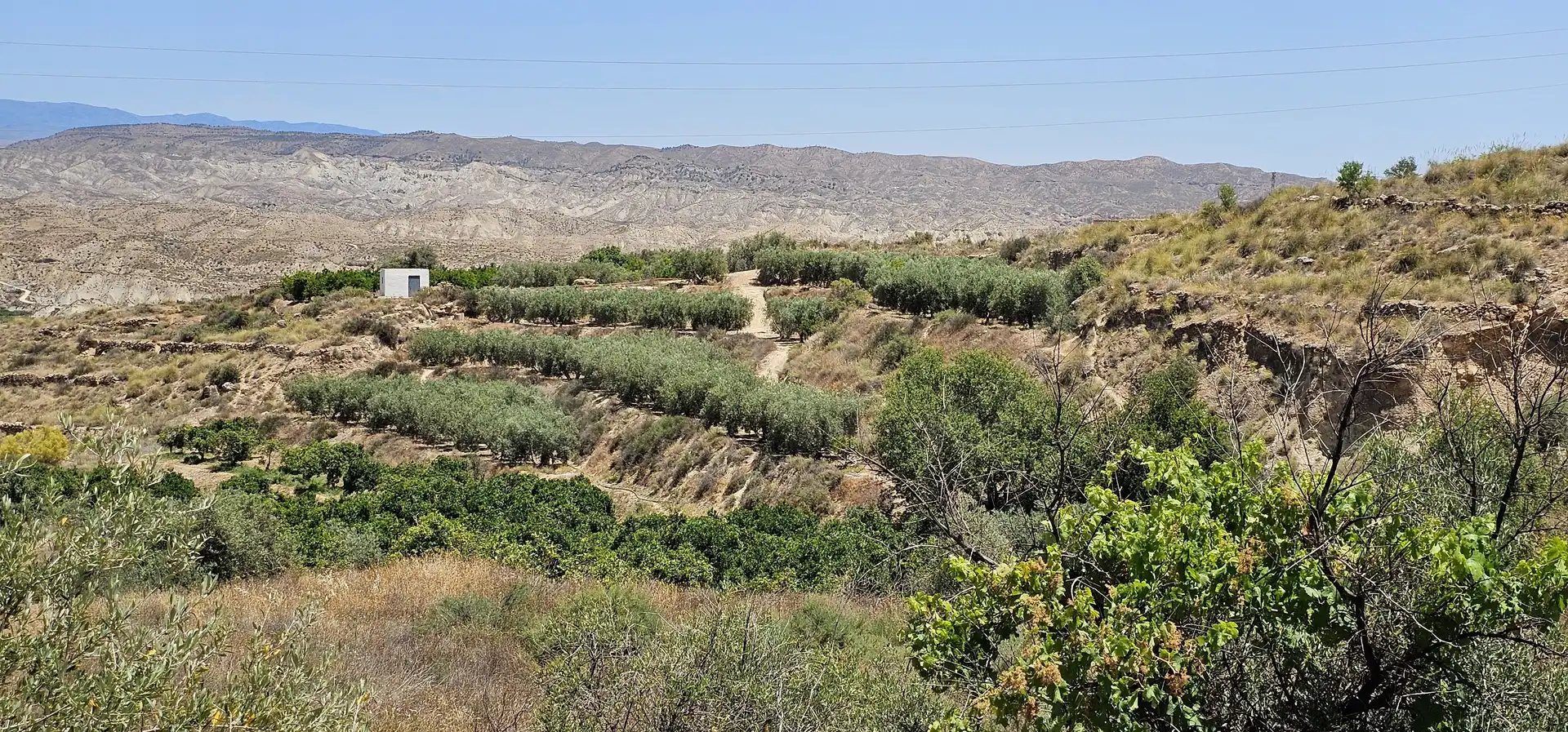 Terreno en venta en Bentarique