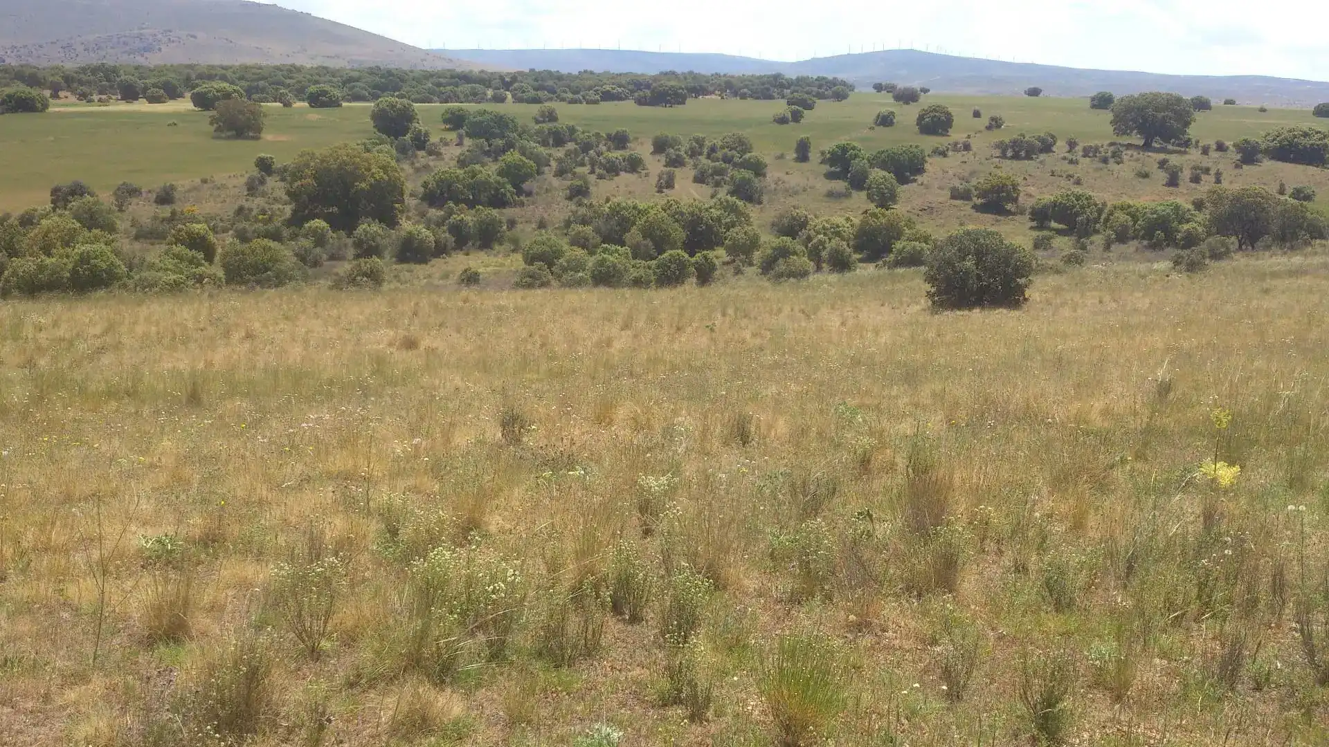 Terreno en venta en Mediana de Voltoya
