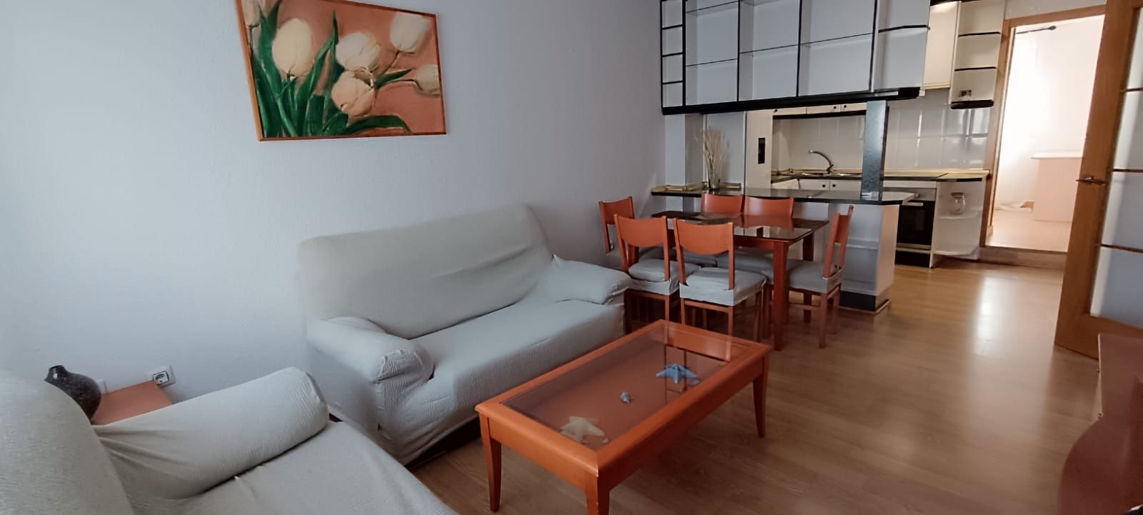 Sala d'estar de Apartament de lloguer en Badajoz Capital amb Aire condicionat, Parquet i Moblat