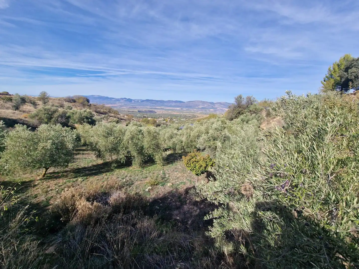 Maison rustique avec jardin à vendre à Cogollos de la Vega, imagen 67