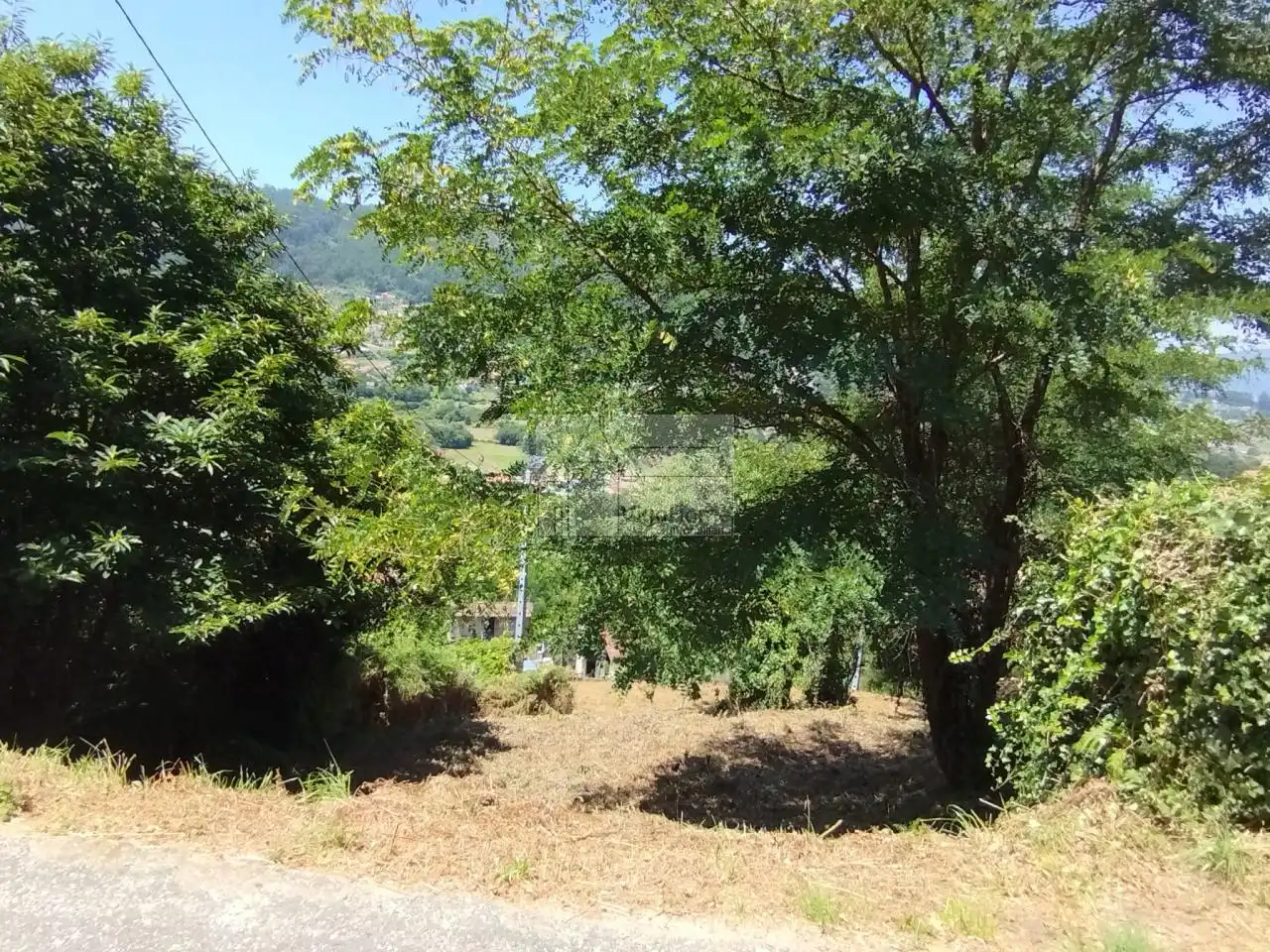 Terreny rústic en venda a LUGAR OS VALOS . SAN ROMAN DE SAXAMONDE, imagen 13