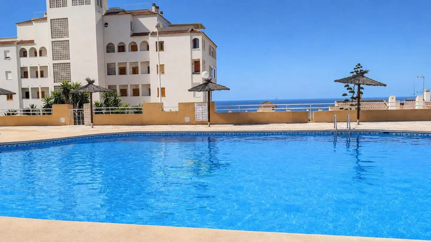 Swimming pool of Detached homes for sale in Elche / Elx  with Terrace, Storage room and Swimming Pool