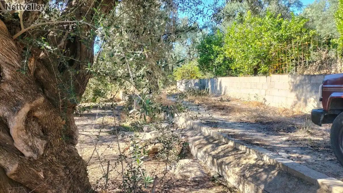 Terreni e lotti in vendita a LOMA DEL MEDIO, imagen 3