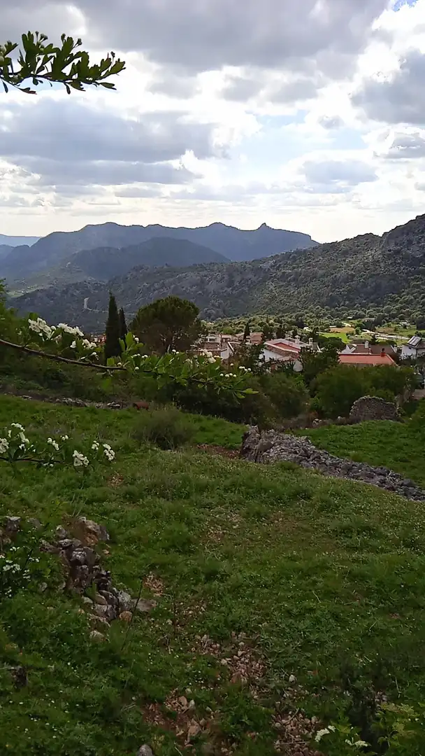 Terrain rustique à vendre à Benaocaz, imagen 8